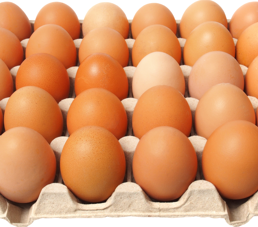 12. Eggs